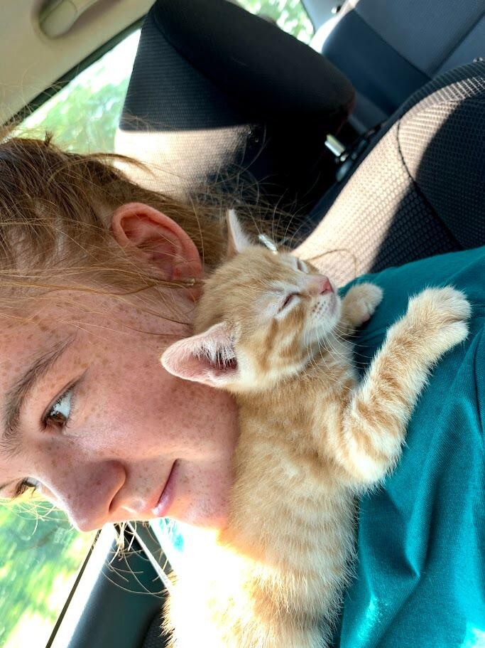 A NEW ADDITION! We welcomed our 2nd son (and second cat), Chester "Puff" Reiff. 