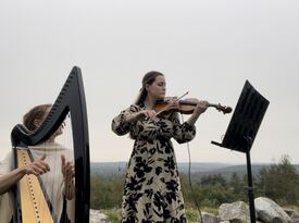 Shelley Otis - Harpist - Stoneham, MA - Hero Gallery 2