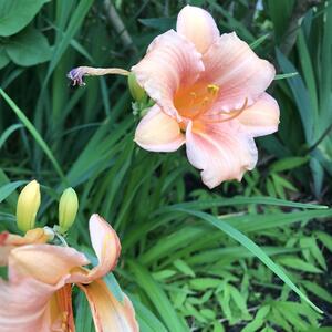 Gallery Photo 22