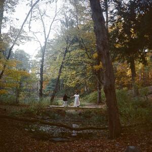 Gallery Photo 15