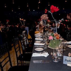 Gallery Photo 303