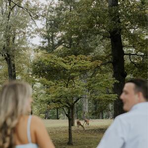 Gallery Photo 9