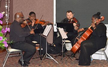 The Element String Quartet - String Quartet - Indianapolis, IN - Hero Main