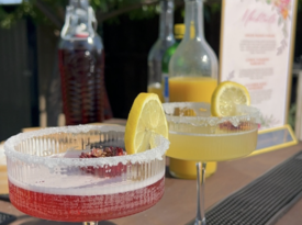 Blaire's Mobile Bar Service - Bartender - Grapevine, TX - Hero Gallery 1
