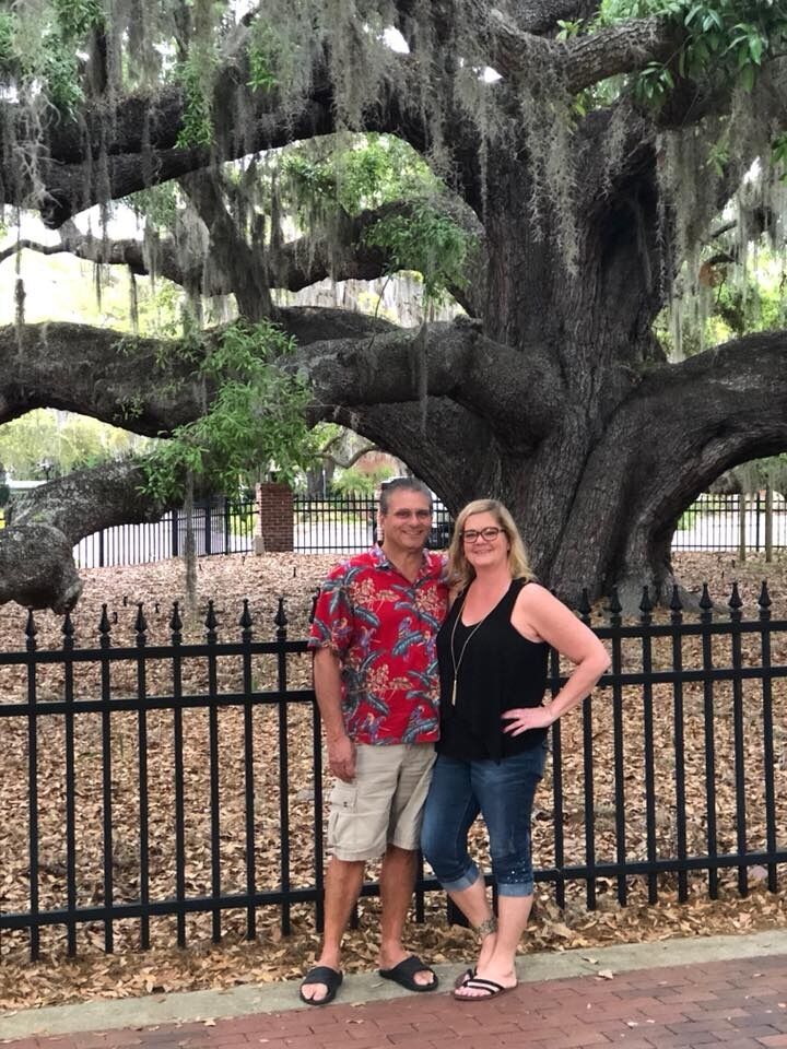 The grand Baranoff Live Oak tree, Safety Harbor, FL.