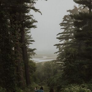 Gallery Photo 9