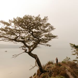 Gallery Photo 181