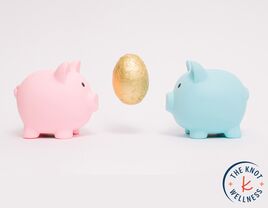 Two piggy banks facing a golden egg