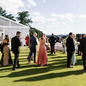 Gallery Photo 208