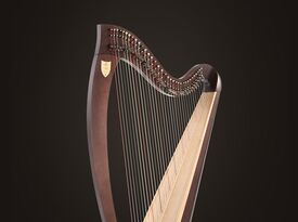 Harpist/Karolyn Witcher - Harpist - Las Vegas, NV - Hero Gallery 1