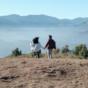 Gallery Photo 8