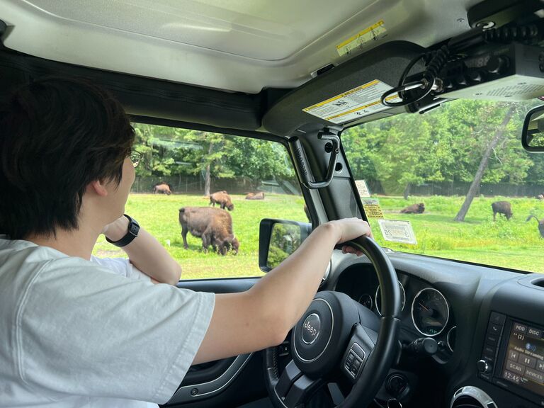 Safari @ Six Flags Great Adventure
