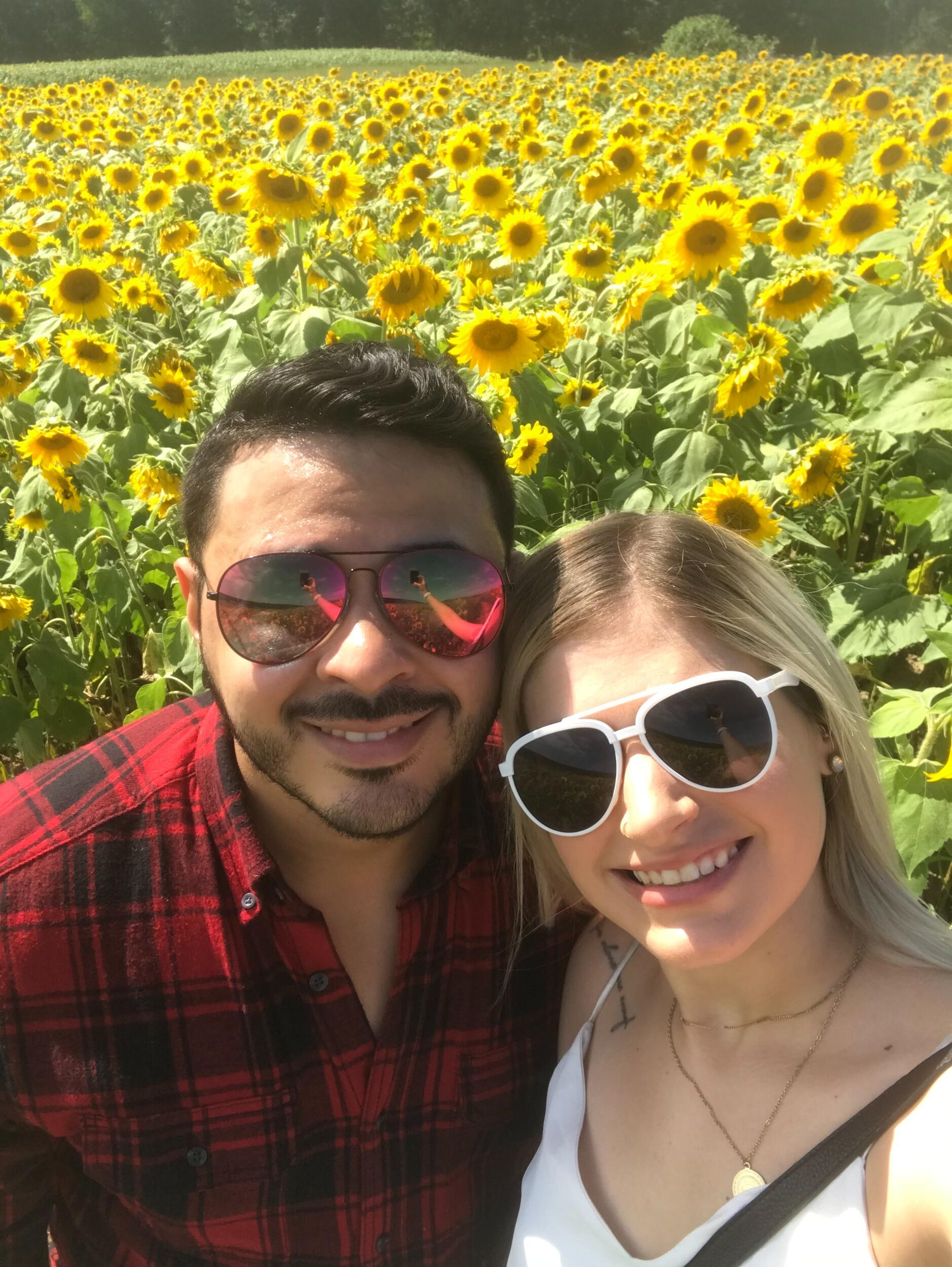 Early birthday trip - Second Mountain Sunflowers 