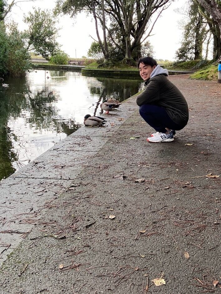 Getting acquainted with some Irish ducks