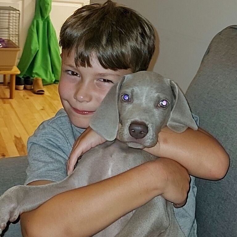 Goose joins our family.