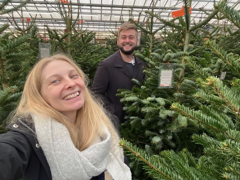 Pick a tree any tree