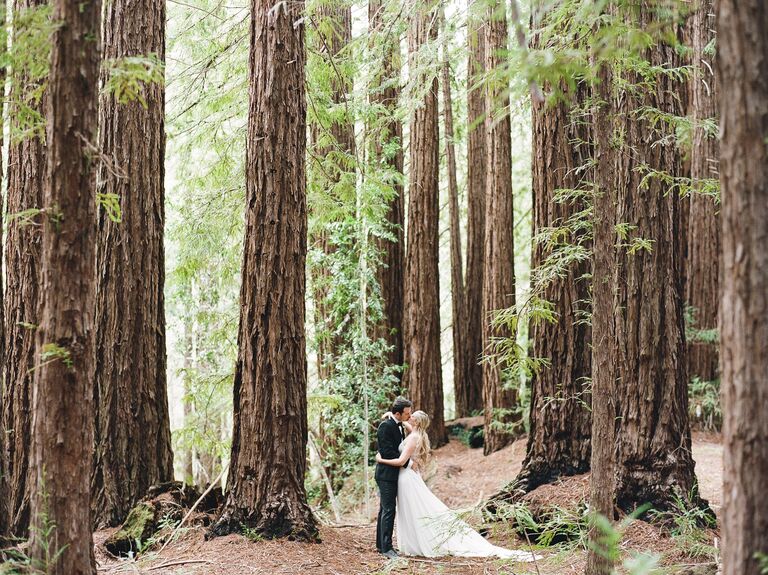Couple embraces in a beautiful forest. 