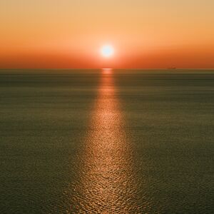 Gallery Photo 43