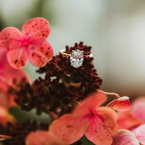 Gallery Photo 10