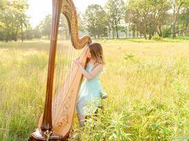 Caresse Boyers Burkhart - Harpist - Wauseon, OH - Hero Gallery 3