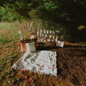 Gallery Photo 3