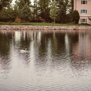 Gallery Photo 405