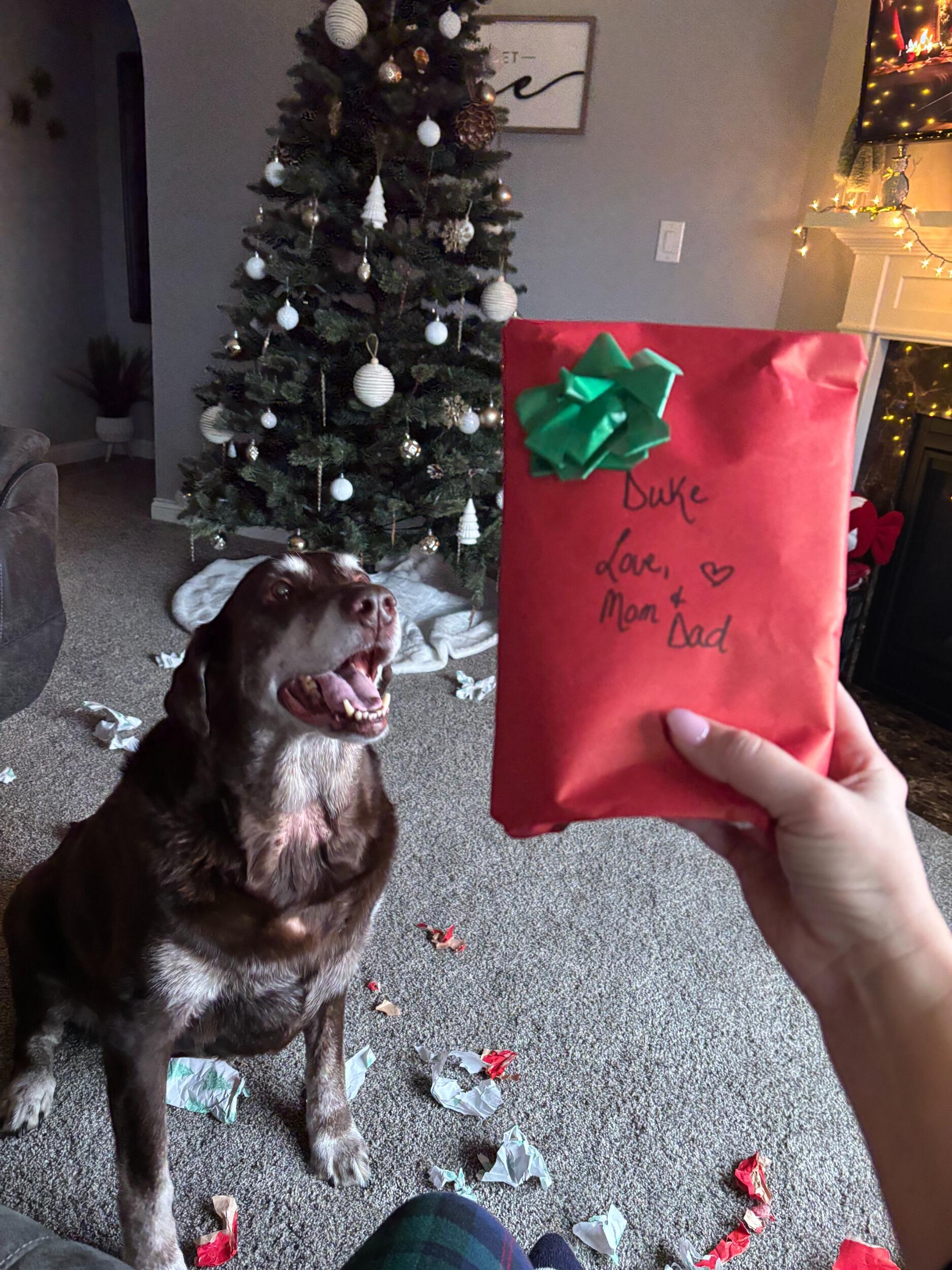 Duke's Christmas 2024 - Right before his dad popped the question!!