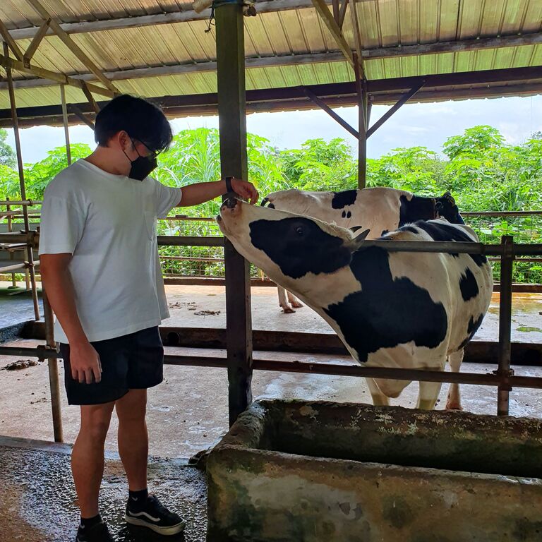 First farm visit and it was moo moo