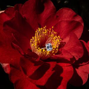 Gallery Photo 23