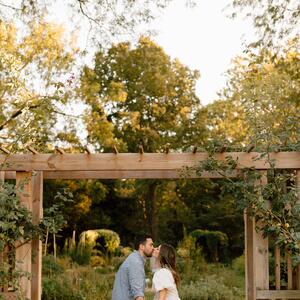 Gallery Photo 12