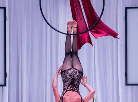 Elysium Productions - Circus Performer - Sarasota, FL - Hero Gallery 1
