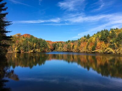 Wedding Venues in Woodstock, VT - The Knot