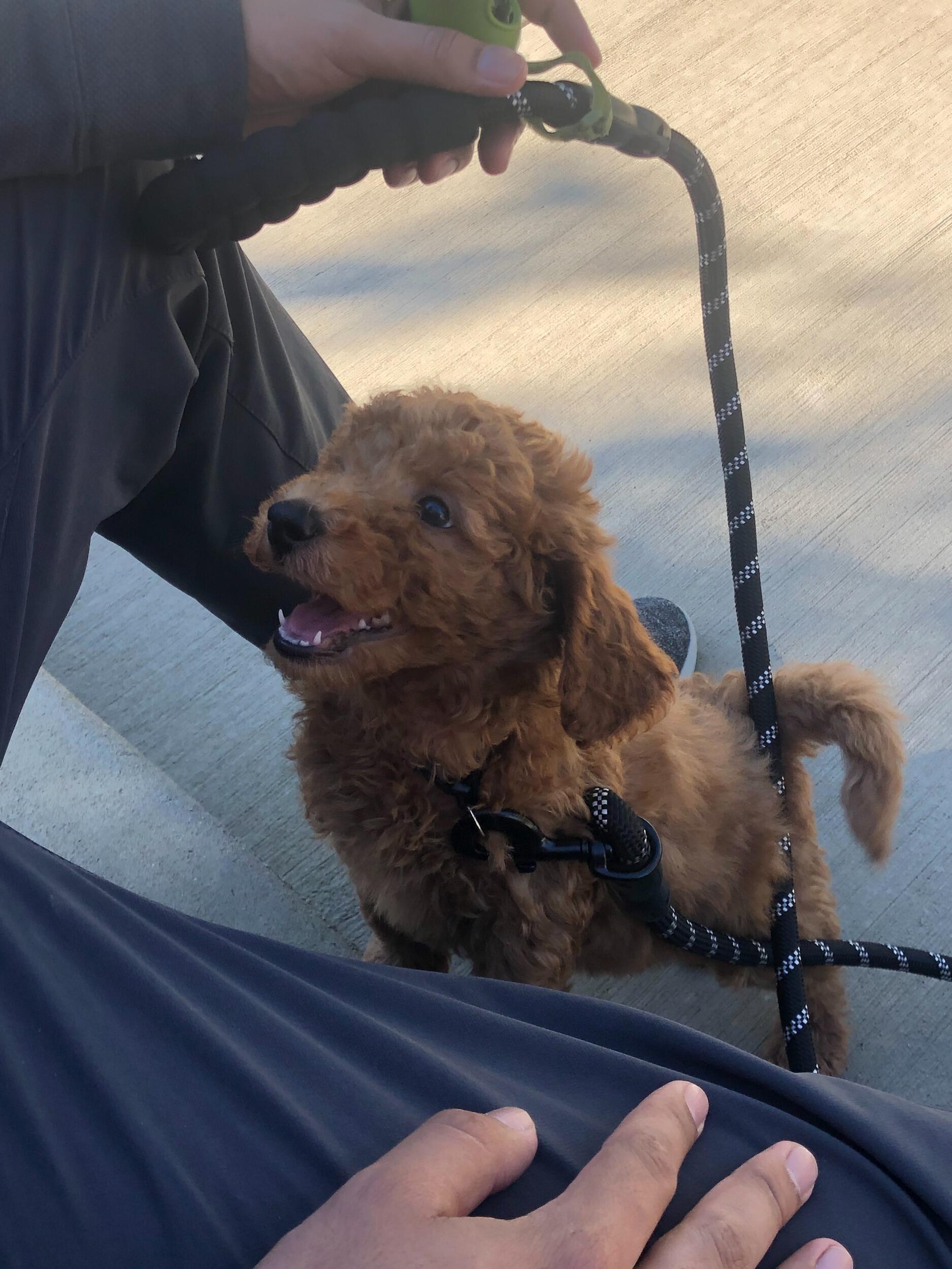 Maggie and Gus welcome baby Kemba!