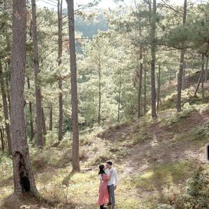 Gallery Photo 6