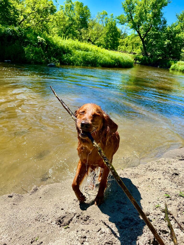 Our summer was filled with lots of memories with our dog Luna, friends, family, rock band, breweries, and grilling. 
