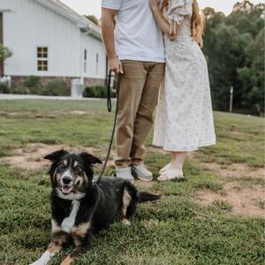 Gallery Photo 6