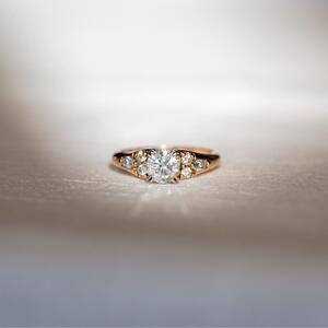 Gallery Photo 42