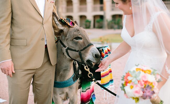 Photo: Vienna Glenn Photography // Featured: The Knot Blog