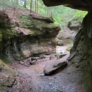 Gallery Photo 6