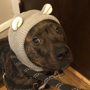 Gallery Photo 25