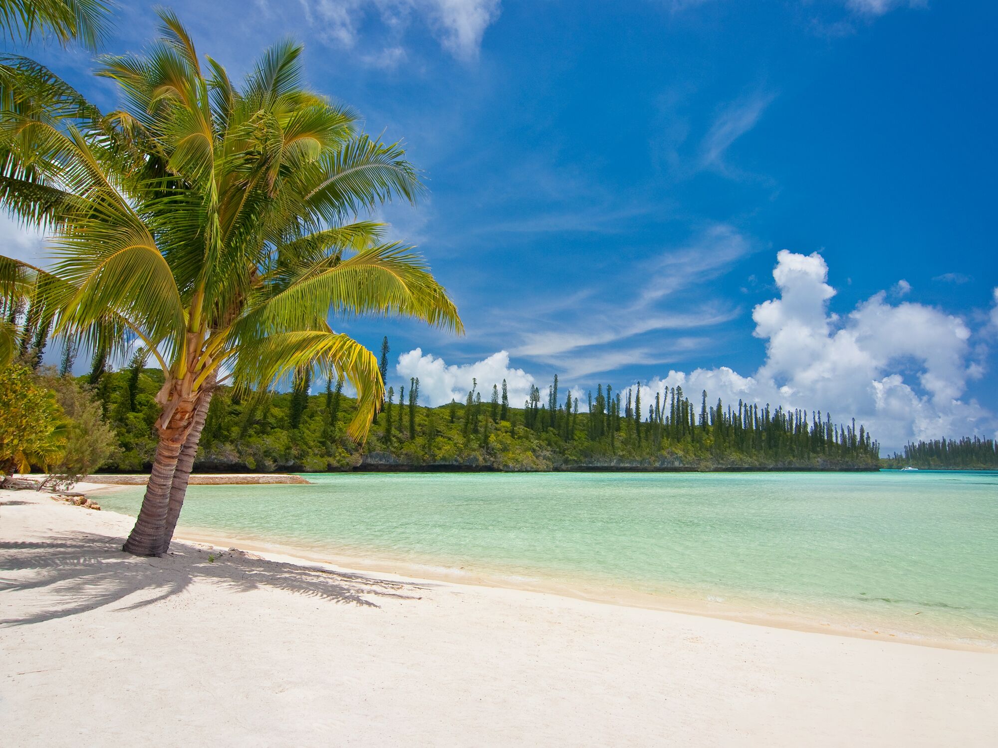tropical beach on Ile des Pins, New Caledonia, territory of France