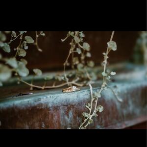 Gallery Photo 28