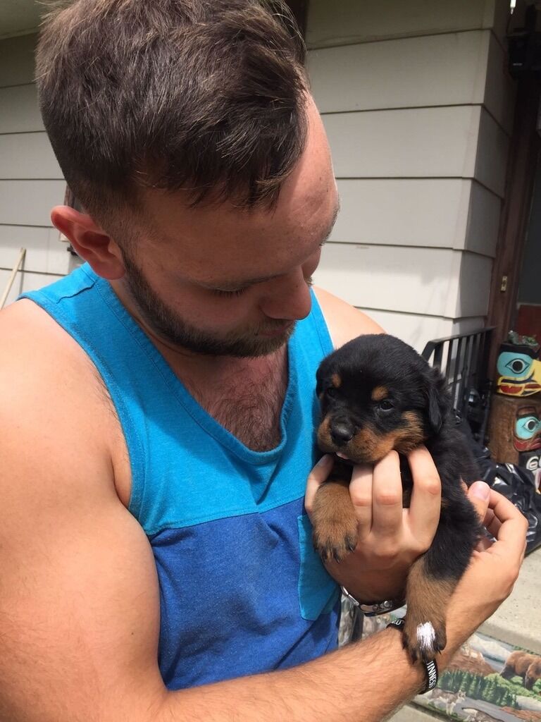 The day we met Revi