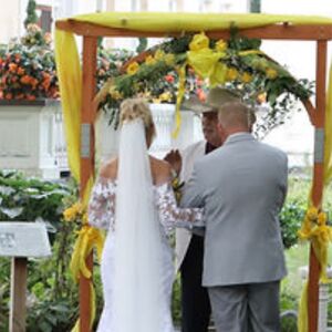 Gallery Photo 7