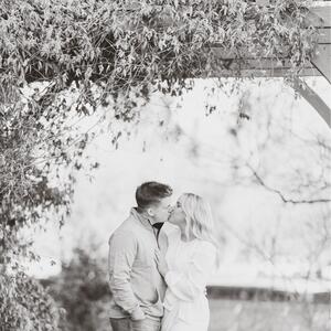 Gallery Photo 51