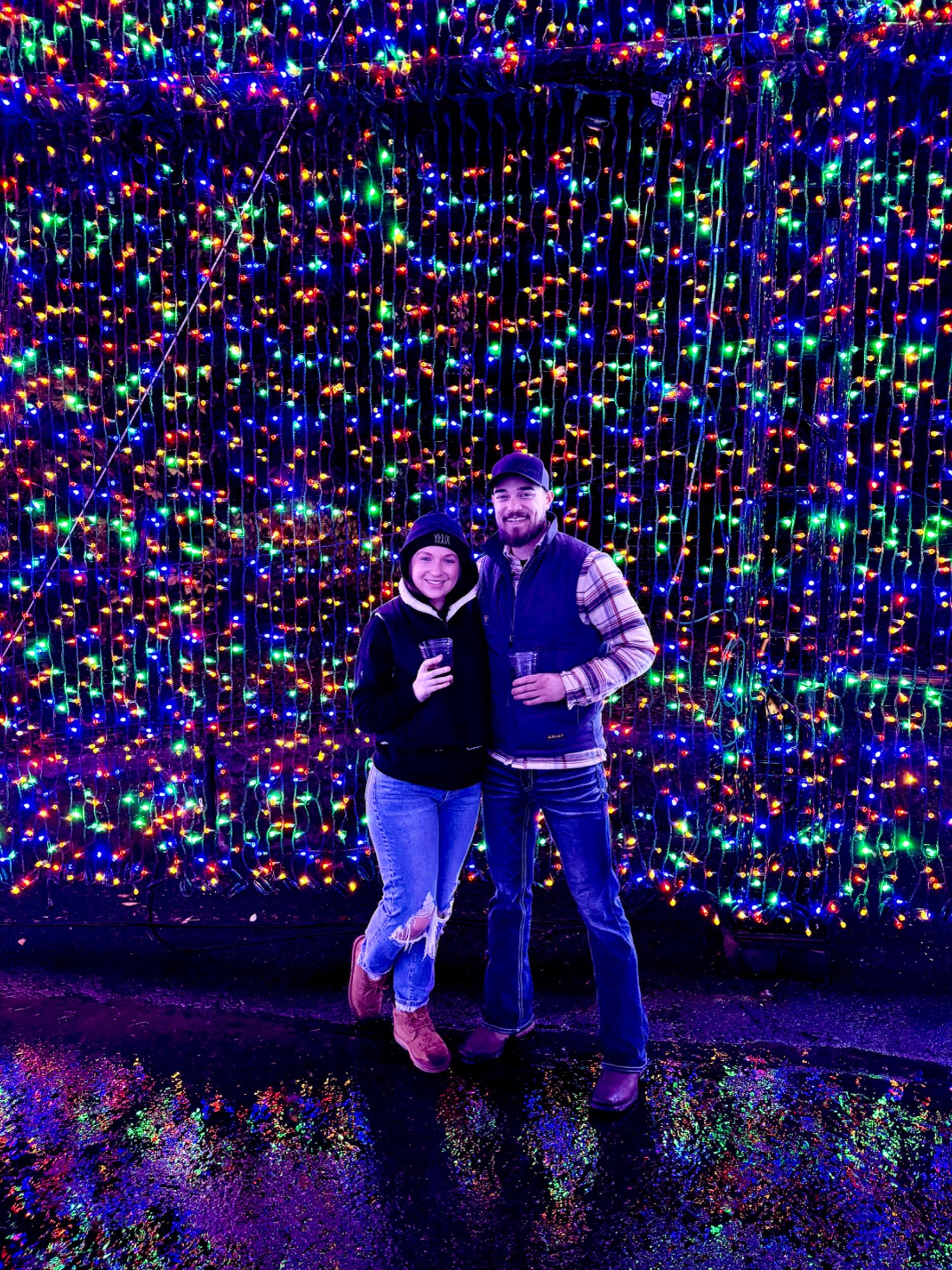 Brew Lights 2023