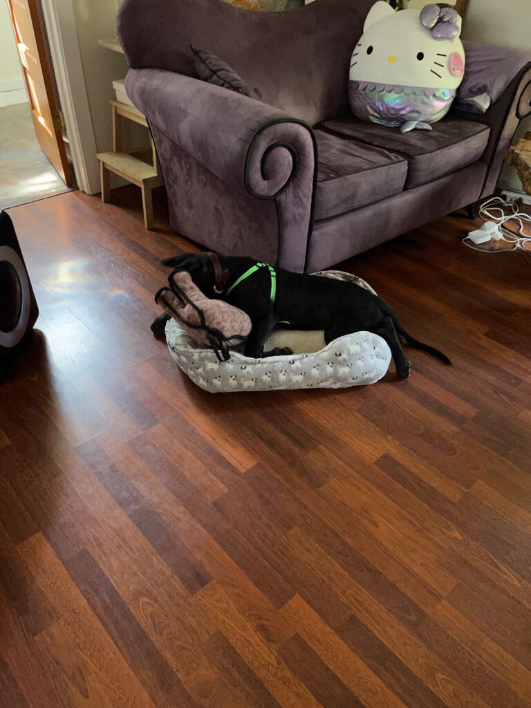 This bed didn't fit for long