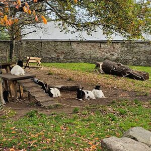 Gallery Photo 149