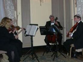 The Shrewsbury String Quartet - String Quartet - Riverton, NJ - Hero Gallery 2