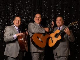 Trio mariachi Jalisco - Mariachi Band - Anaheim, CA - Hero Gallery 2